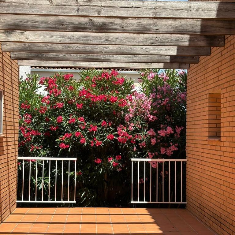 Jouvacations Villa 3 Freser con piscina compartida - Chalet - 44