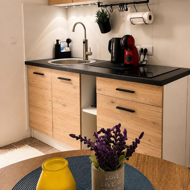 LovelyHome Sarajevo - Main Street City Centar - One-Bedroom Apartment - 4