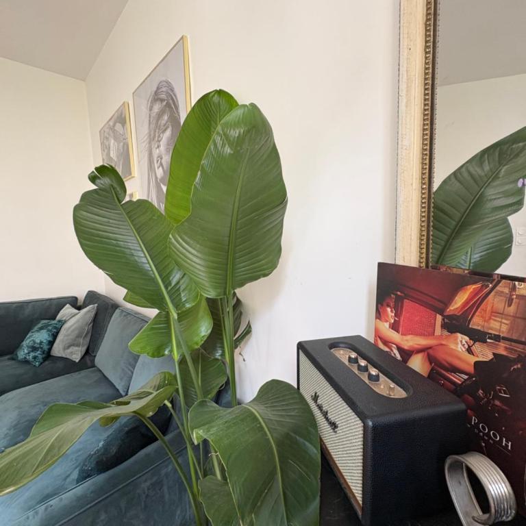 Charming & quiet, 5 min from Paris - Apartment mit 1 Schlafzimmer - 2