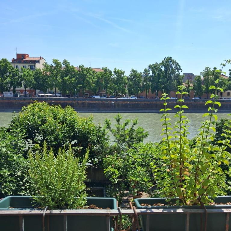 Adige View Suite - Appartamento con 1 Camera da Letto - 14