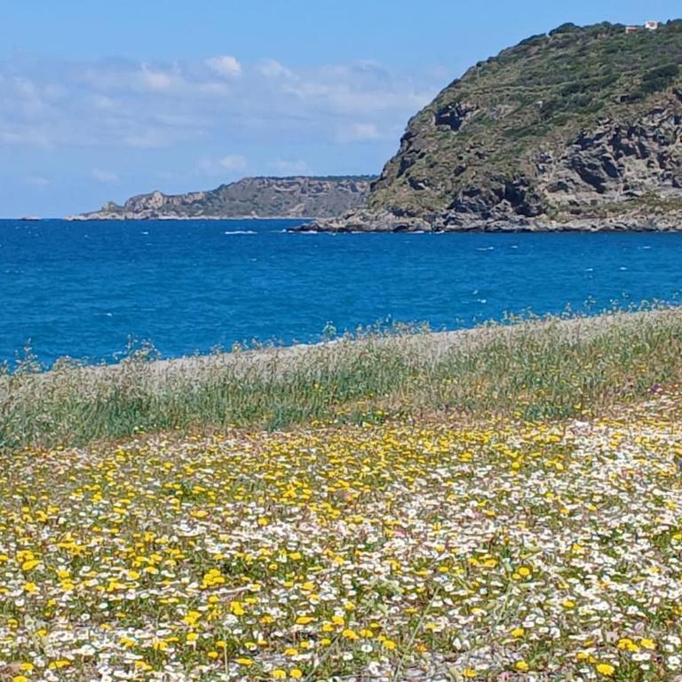 Sicily Sweet Home - Casa con 2 Camere da Letto - 23