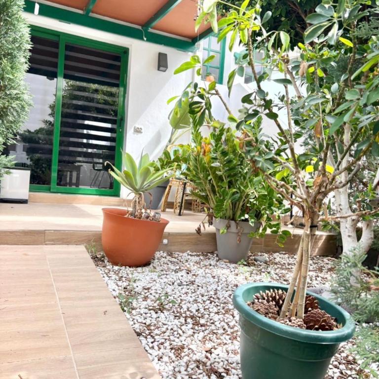 TROPICAL SUN AND palm - Casa con 1 dormitorio - 7