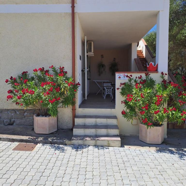 casa oleandri - Casa con 1 Camera da Letto - 6