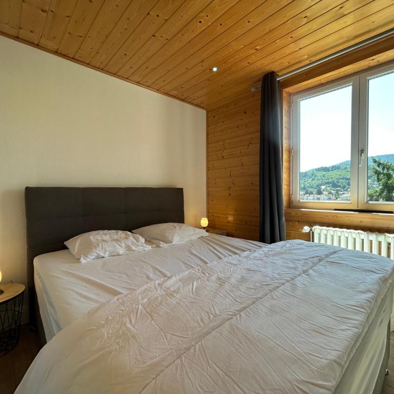 Appartement Etage Chalet à 300m du lac de Gérardm - Villa 3 Chambres - 13