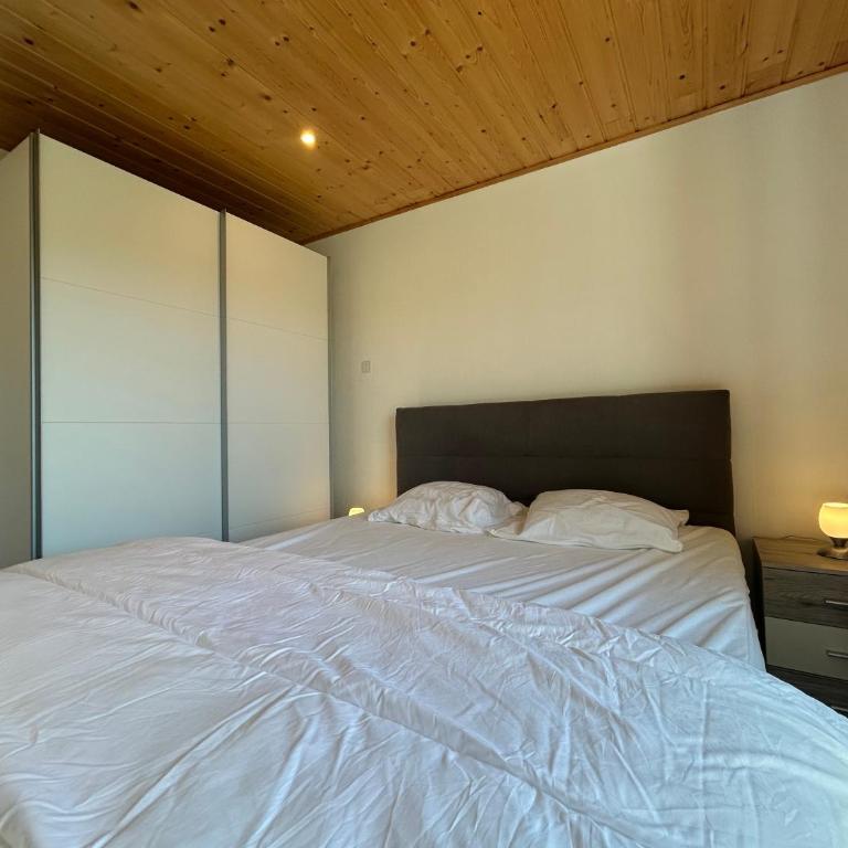 Appartement Etage Chalet à 300m du lac de Gérardm - Villa 3 Chambres - 14