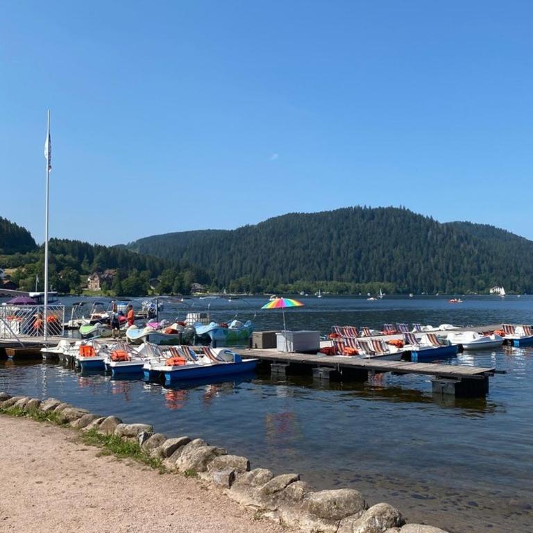 Appartement Etage Chalet à 300m du lac de Gérardm - Villa 3 Chambres - 29