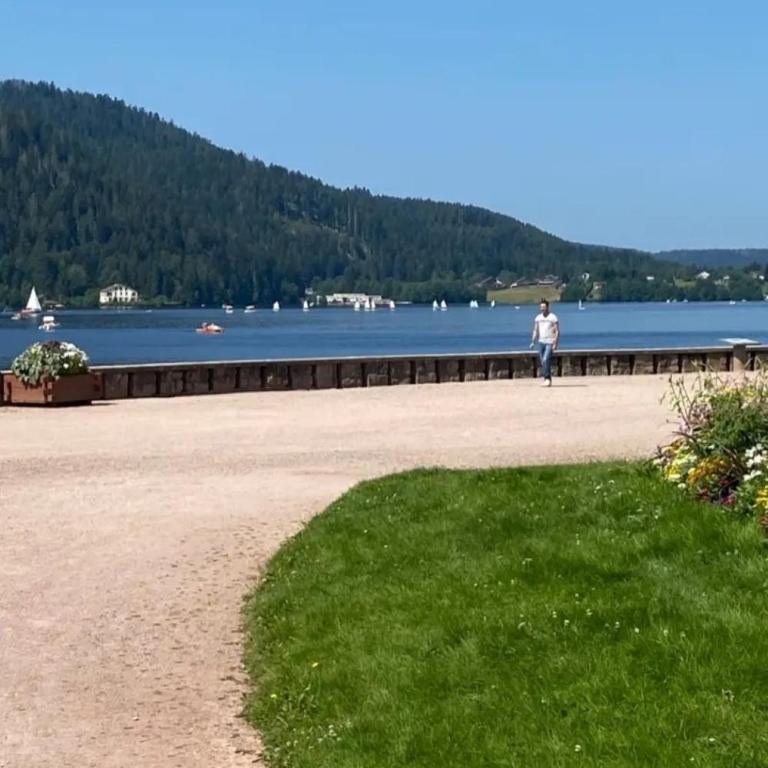 Appartement RDC Chalet à 300m du lac de Gérardmer - Villa 3 Chambres - 28