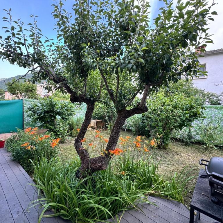 La Florence Provençale, 6 Chambres, Piscine, Véranda - Maison 6 Chambres - 10