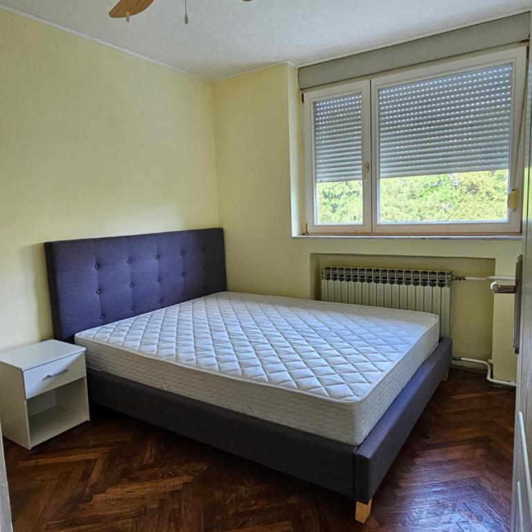 2 bedroom family apartment - Two-Bedroom Apartment - 9