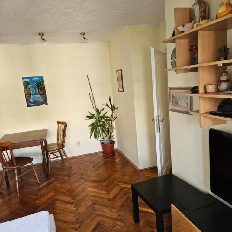 2 bedroom family apartment - Two-Bedroom Apartment - 21