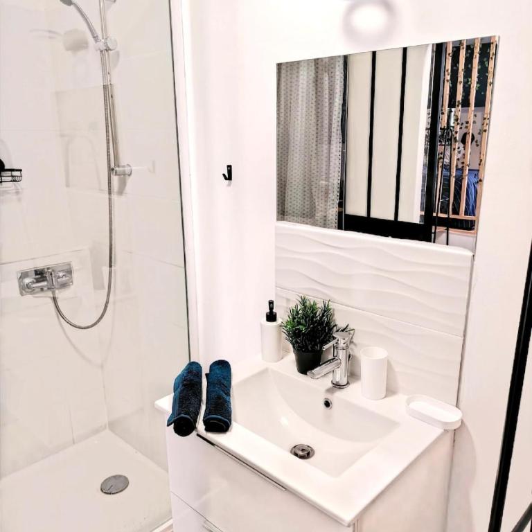 Studio Poseidon Agde Centre - Appartement 2 Chambres - 5