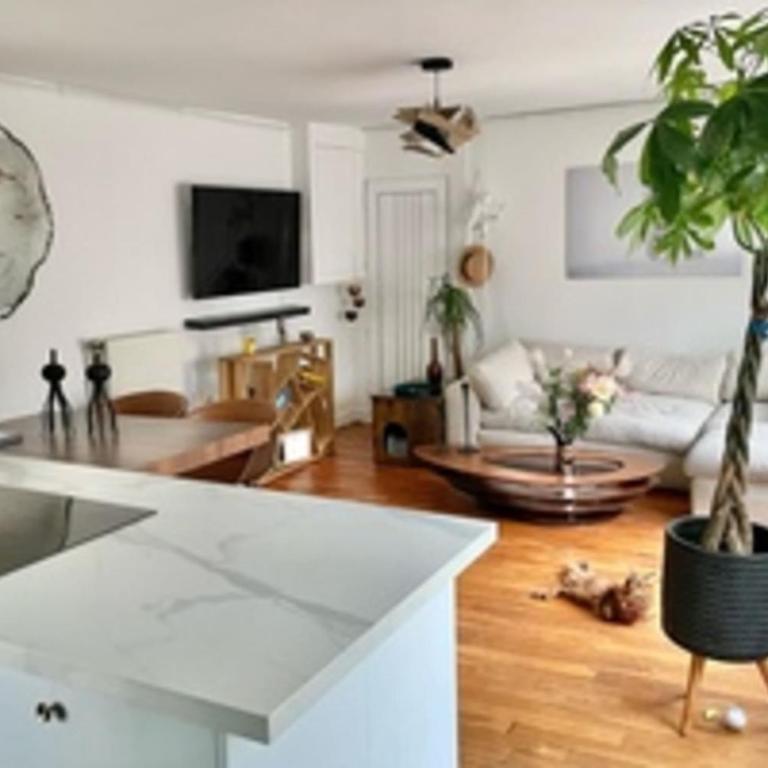 Lumineux 42 m prés du Jardin Villemin - Appartement - 4