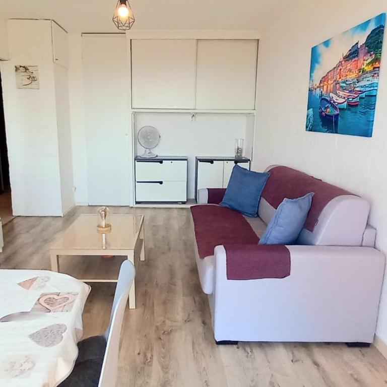 Superbe vue mer - 2 minutes de la plage - Parking - Appartamento con 1 Camera da Letto - 18