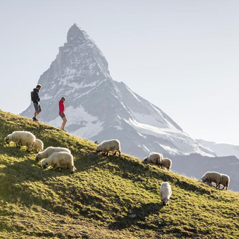 Alpine black Pearl - modern & stylish by Inspiringplaces Zermatt - Apartamento de 2 dormitorios con balcón - 13