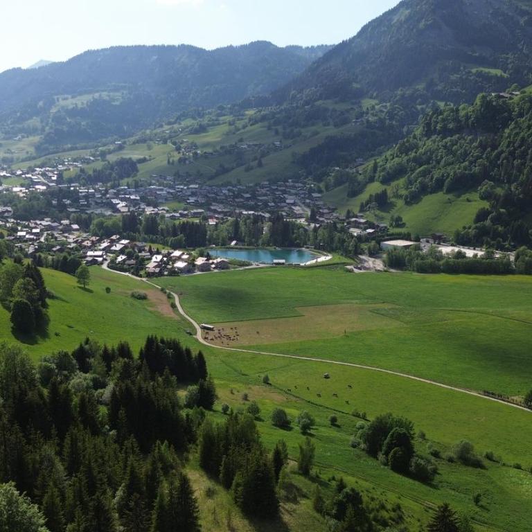 Les Caribous - Lac 1 min, Espace Diamant, Megeve - Appartement 1 Chambre - 28