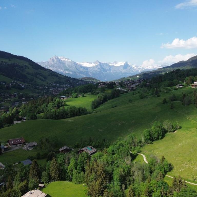 Les Caribous - Lac 1 min, Espace Diamant, Megeve - Appartement 1 Chambre - 26