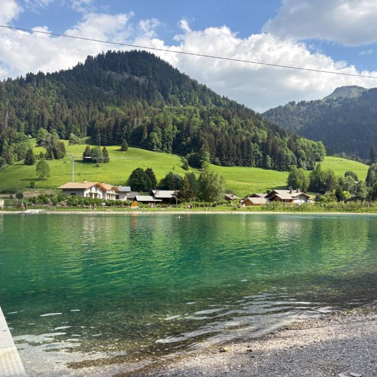 Les Caribous - Lac 1 min, Espace Diamant, Megeve - Appartement 1 Chambre - 34