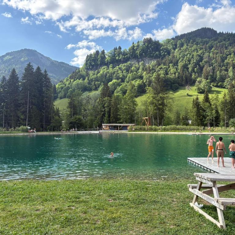 Les Caribous - Lac 1 min, Espace Diamant, Megeve - Appartement 1 Chambre - 33