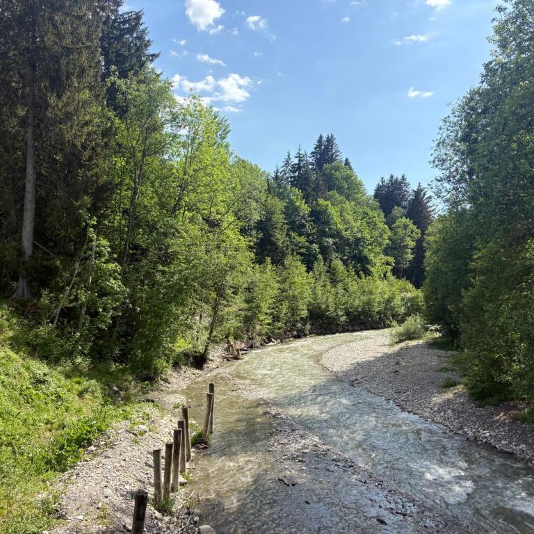 Les Caribous - Lac 1 min, Espace Diamant, Megeve - Appartement 1 Chambre - 30