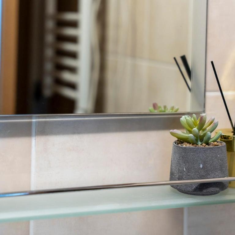 Danijela & konak - Zlatiborski konaci - Studio-Apartment mit Balkon - 21