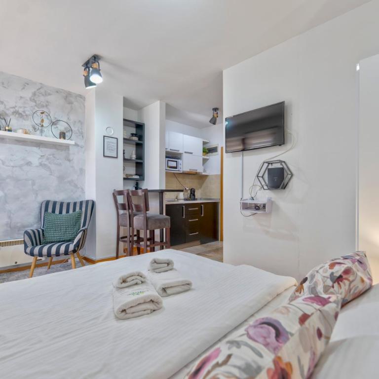 Danijela & konak - Zlatiborski konaci - Studio-Apartment mit Balkon - 2