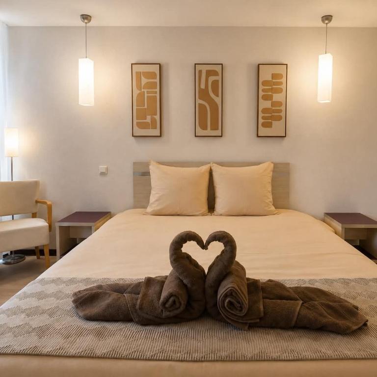 Lumière de Lourdes - Appartement 1 Chambre - 1