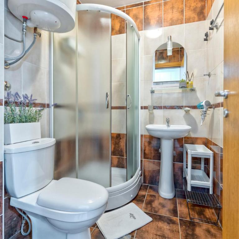 Danijela & konak - Zlatiborski konaci - Studio-Apartment mit Balkon - 19