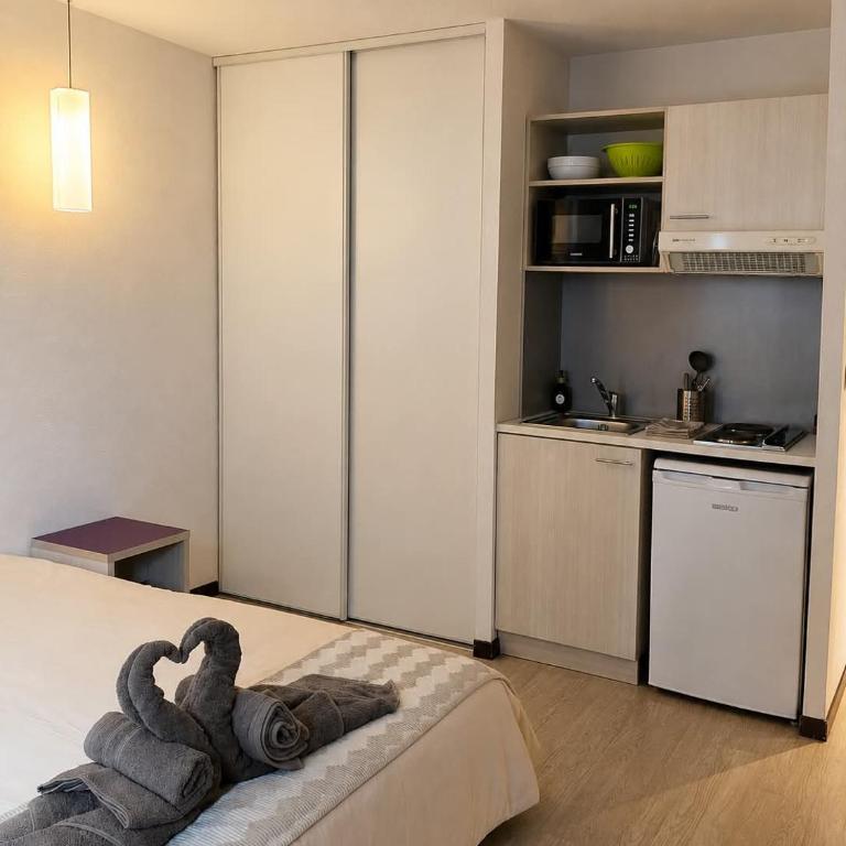 Lumière de Lourdes - Appartement 1 Chambre - 5
