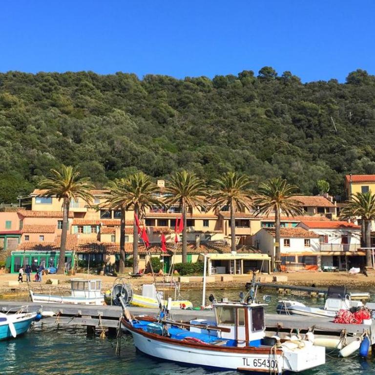 Le Soleil des Maures - T2 cosy entre mer et vignes - Appartement 1 Chambre - 13