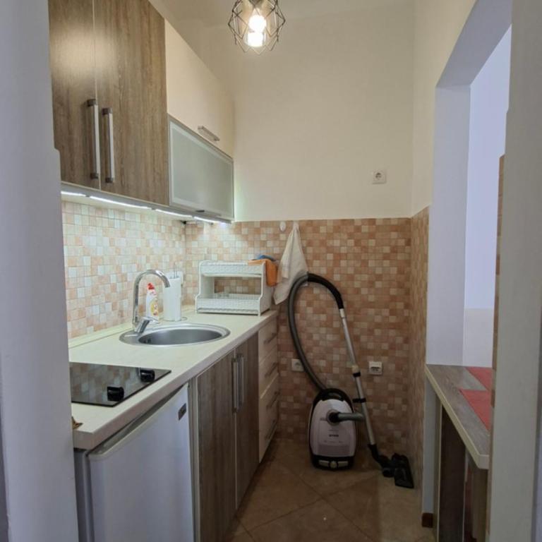 Dineta Apartment - Apartman sa 1 Spavaćom Sobom - 8