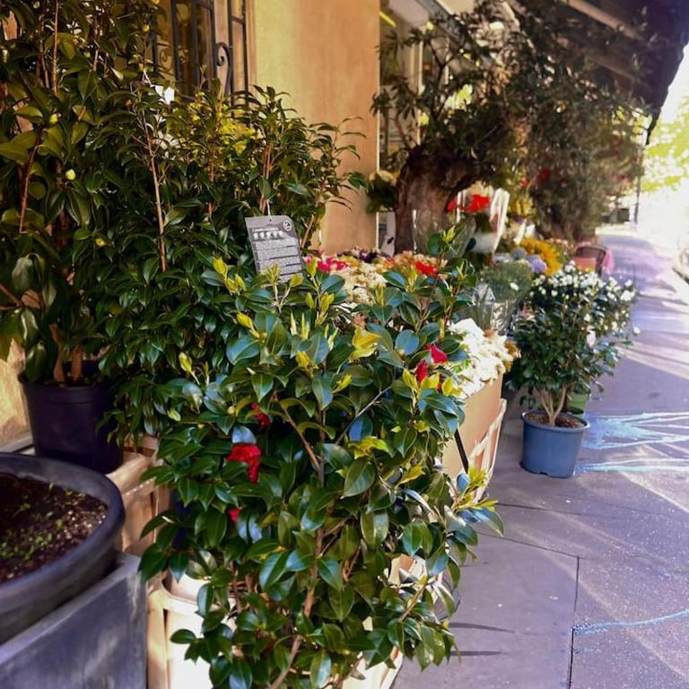 High-End 4BR Residence close to Champs-Élysées - Appartement - 22