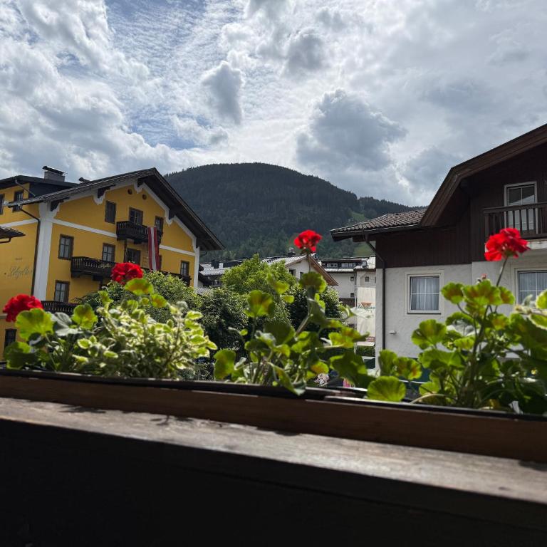 Haus Gretel Zell am See & Summer Card - Apartment mit 1 Schlafzimmer, Balkon und Bergblick - 5