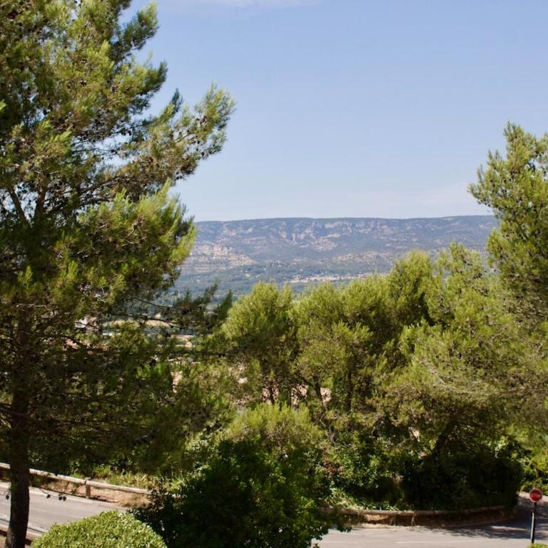 Provençal getaway - Appartement 1 Chambre - 3