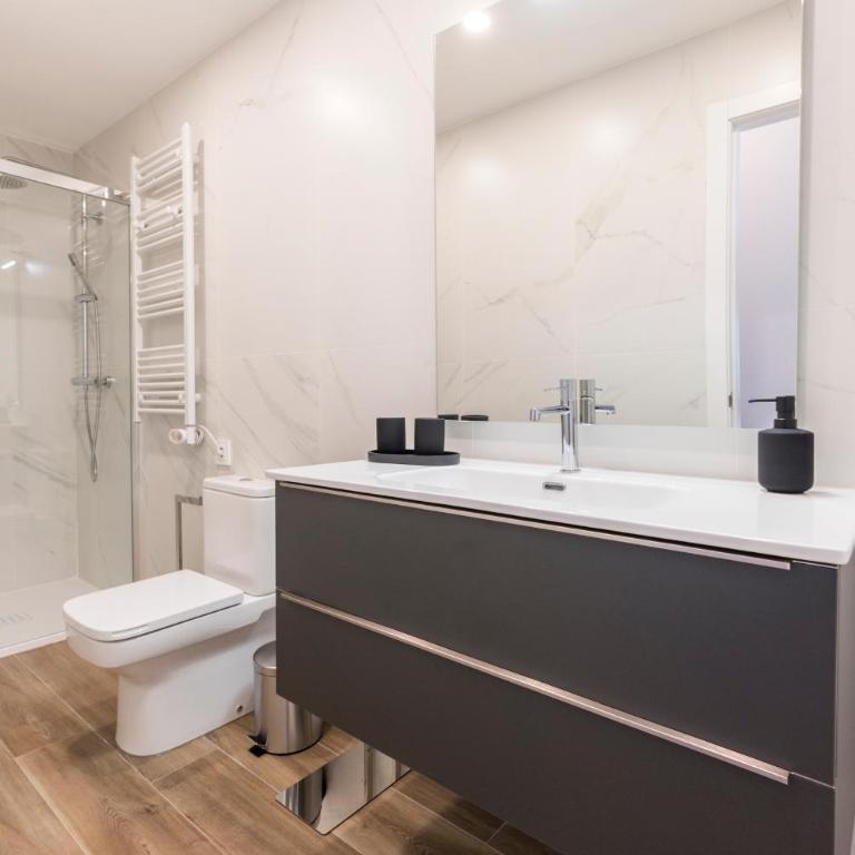 Apartamentos Dúplex Príncipe de Canalejas - Dúplex - 6