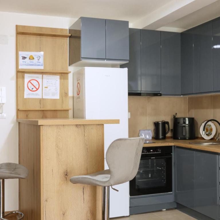 Apartman Gajic Lux - Appartement 1 Chambre - 4