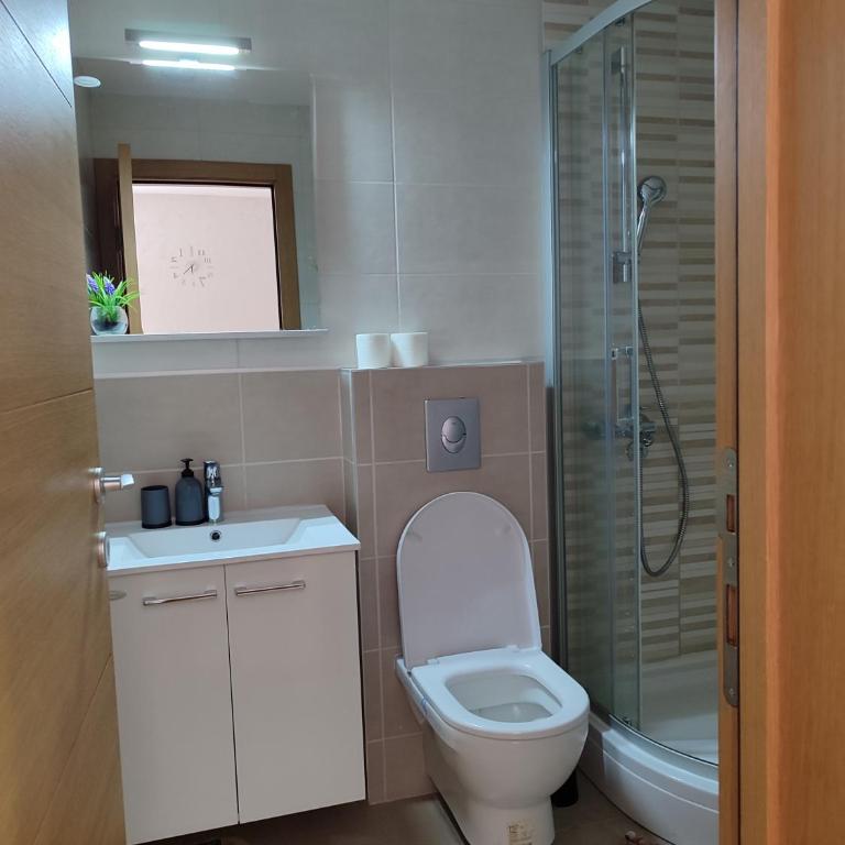 Apartman Nataša, Zlatiborska Vila 1 - FREE PARKING - One-Bedroom Apartment with Terrace - 13