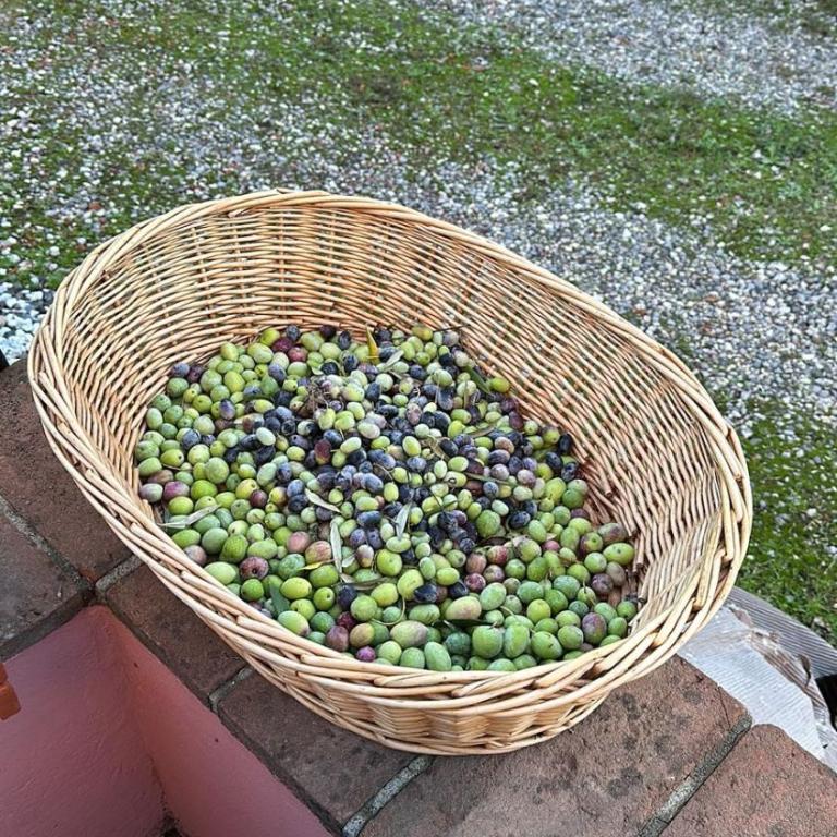 The Olive House - Casa con 4 camere da letto - 48