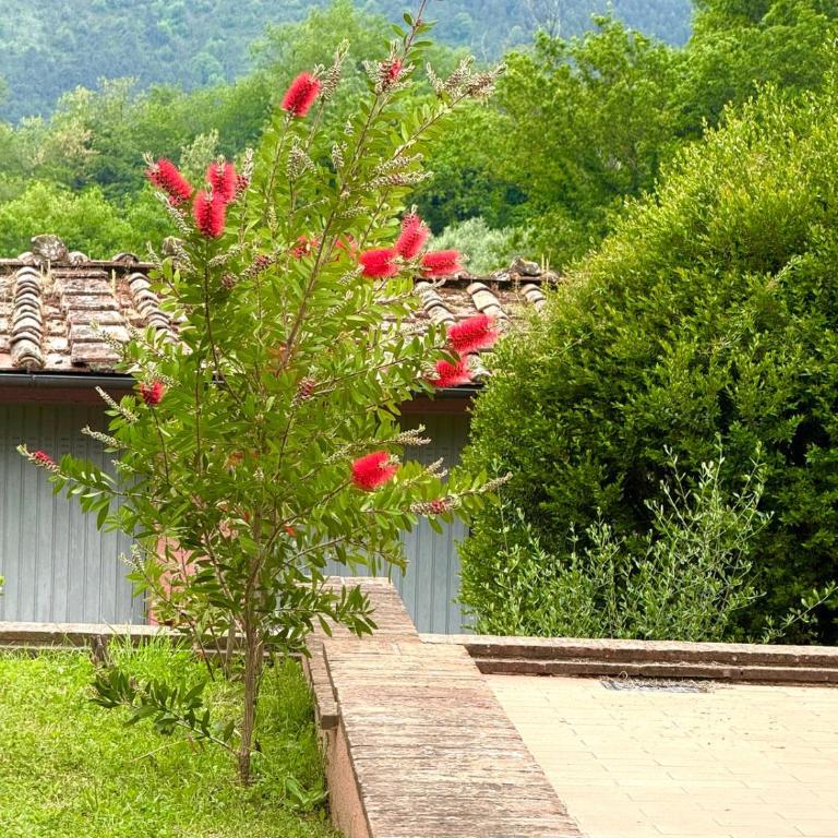 The Olive House - Casa con 4 camere da letto - 8