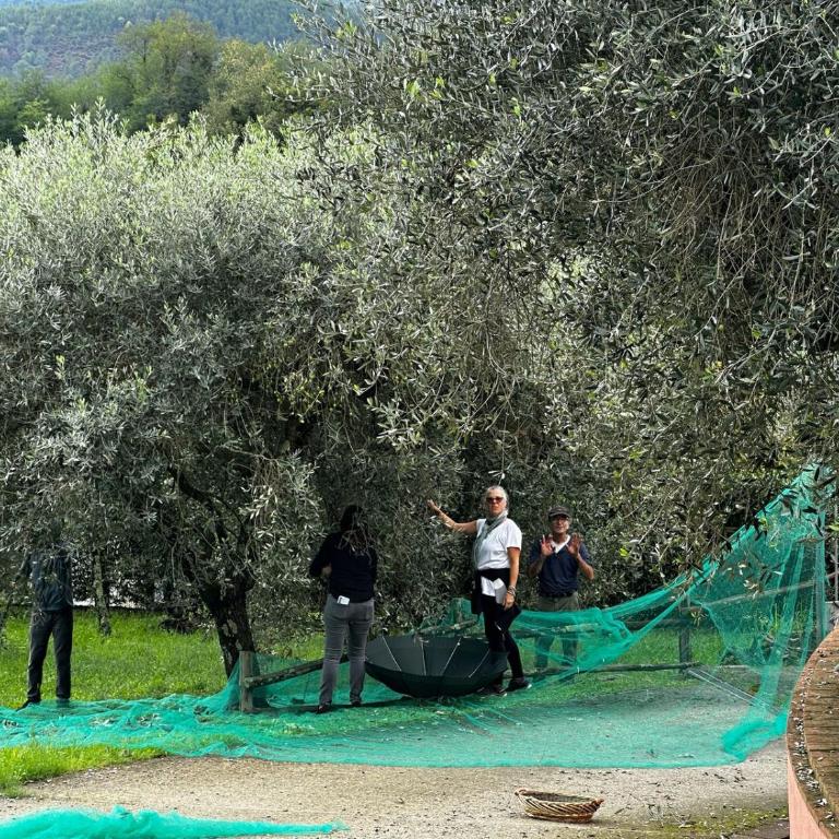 The Olive House - Casa con 4 camere da letto - 47