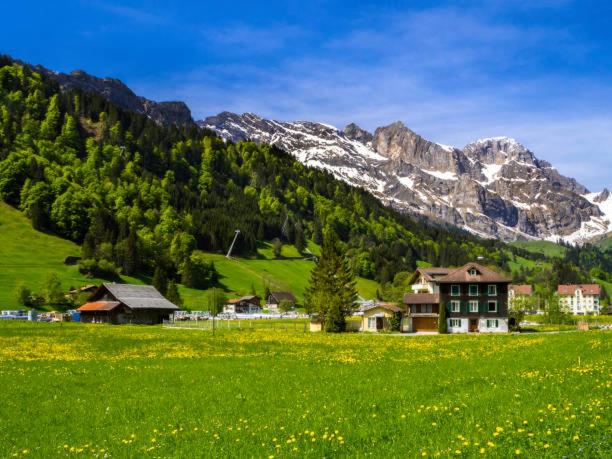 Mountain Retreat Near Titlis With Garden & Views - Appartamento - 35