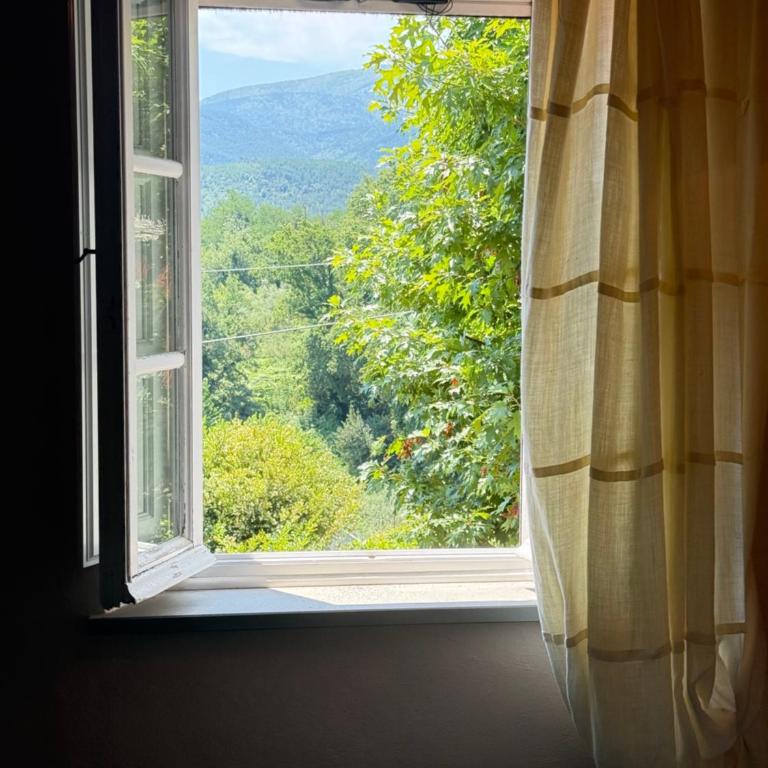 The Olive House - Casa con 4 camere da letto - 30