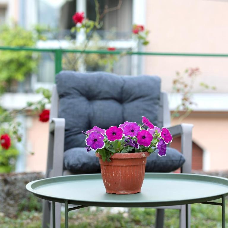 Doricera - Appartement 1 Chambre - 4