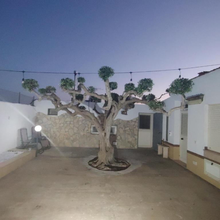 Villa Serroni - Casa - 34