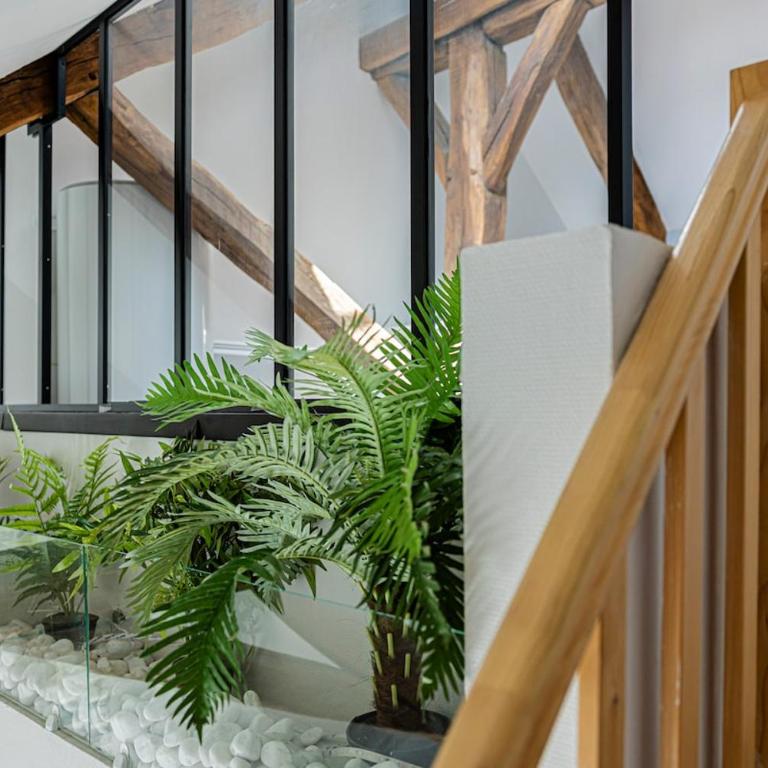 Le Prague - T3 Atypique sur les de loire - Apartment mit 2 Schlafzimmern - 4