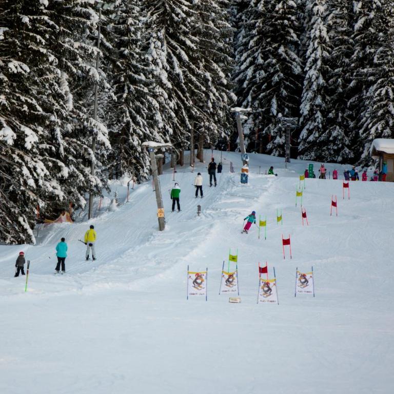 Dorf-Chalets Filzmoos mit Sauna - Two-Bedroom Chalet - 24