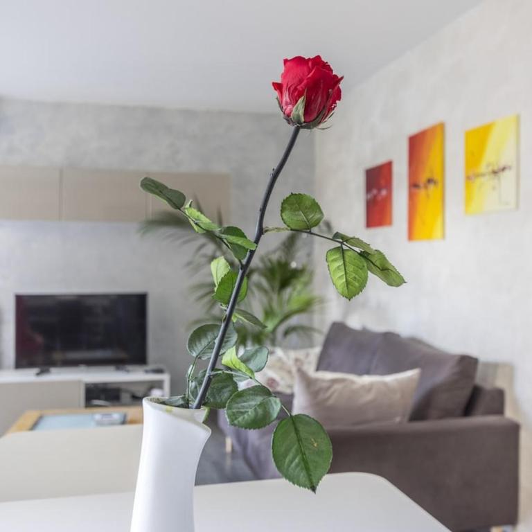 Beautiful Port Marianne Apt, Private Parking, 4 people - Apartment mit 2 Schlafzimmern - 43