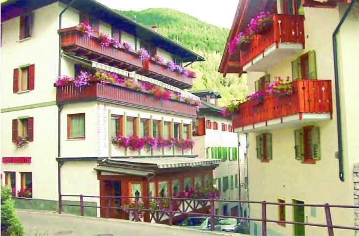 Albergo Alpina - Doppelzimmer mit Terrasse - 3