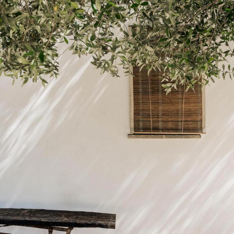 Casa Mamita- Villa by Puglia Classics - Villa - 47