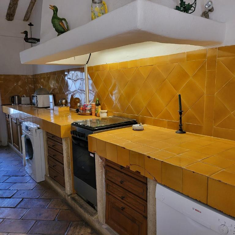 MAS for Camargue lovers - Villa - 34