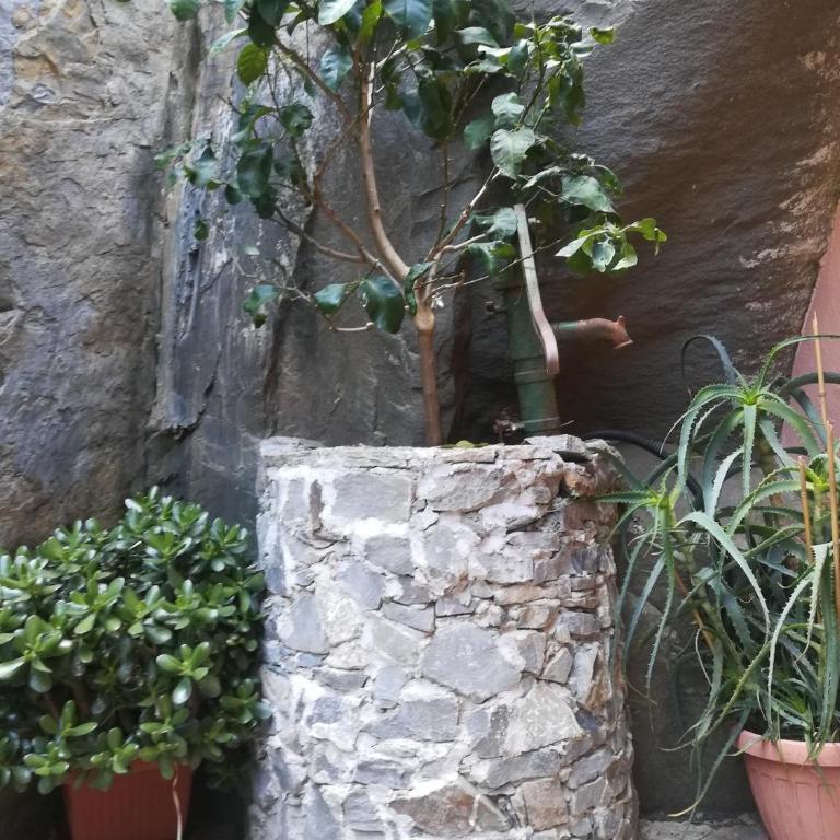 La Casa delle Oche - Casa con 1 dormitorio - 56
